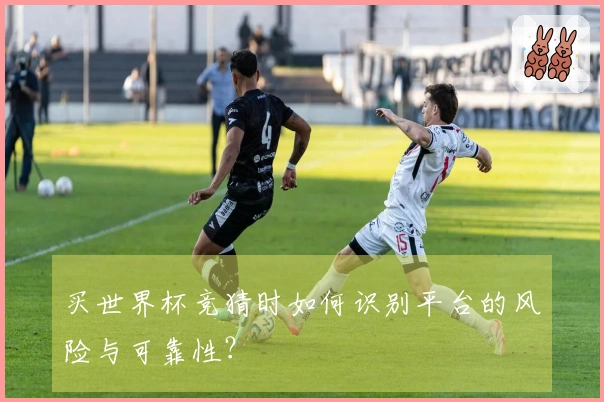 买世界杯竞猜时如何识别平台的风险与可靠性？