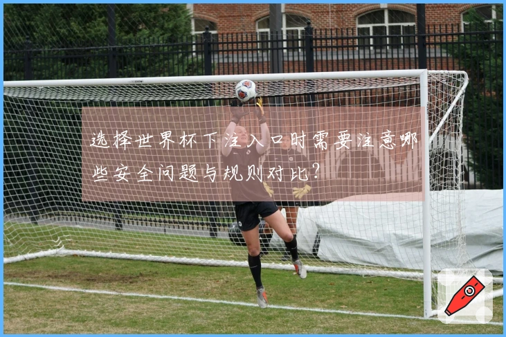 选择世界杯下注入口时需要注意哪些安全问题与规则对比？