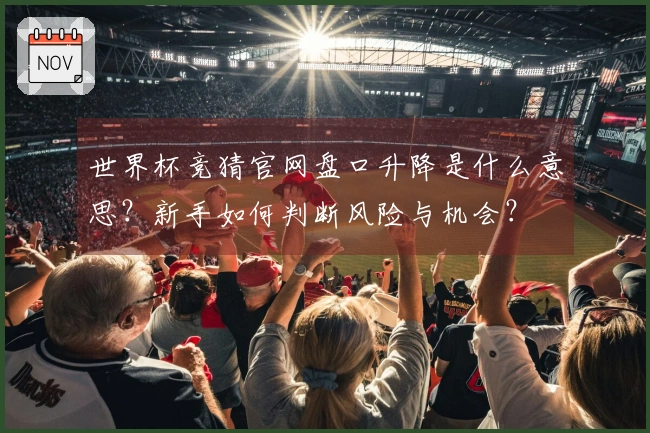 世界杯竞猜官网盘口升降是什么意思？新手如何判断风险与机会？
