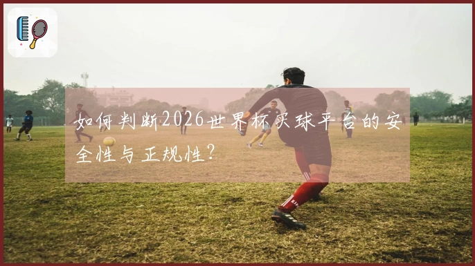 如何判断2026世界杯买球平台的安全性与正规性？