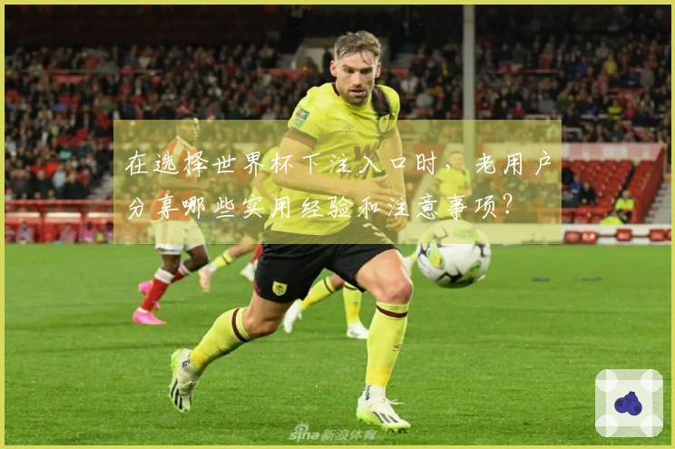 在选择世界杯下注入口时,老用户分享哪些实用经验和注意事项?