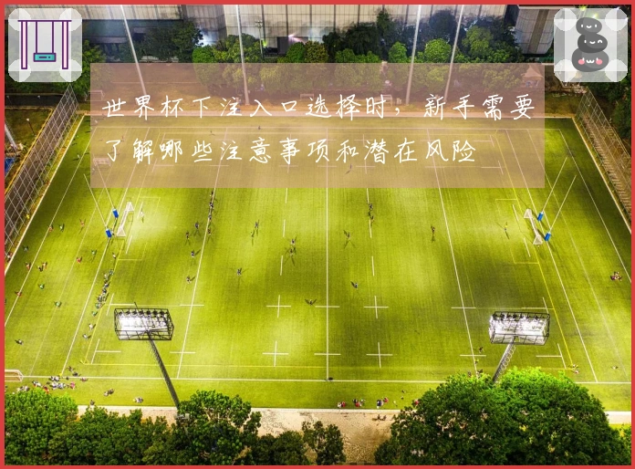 世界杯下注入口选择时，新手需要了解哪些注意事项和潜在风险