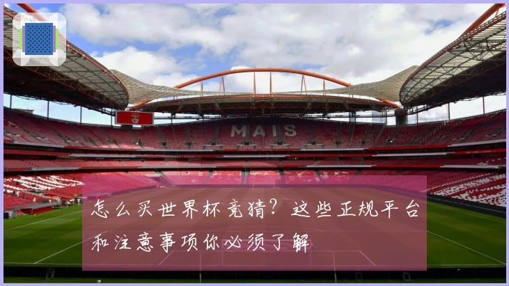 怎么买世界杯竞猜？这些正规平台和注意事项你必须了解