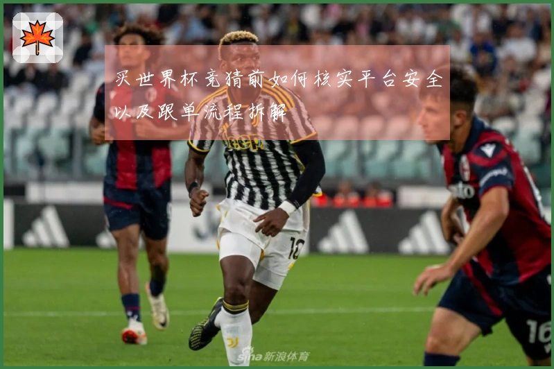 买世界杯竞猜前如何核实平台安全以及跟单流程拆解