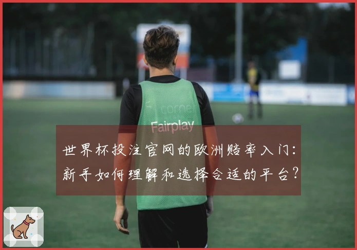 世界杯投注官网的欧洲赔率入门:新手如何理解和选择合适的平台?