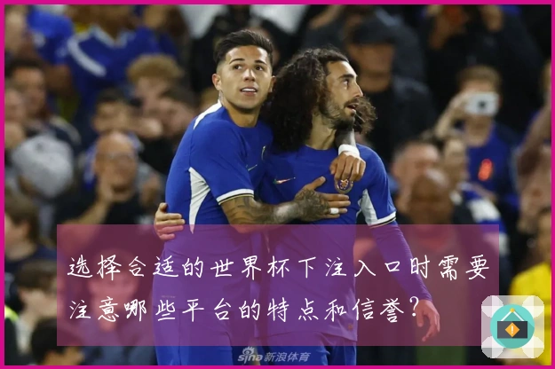 选择合适的世界杯下注入口时需要注意哪些平台的特点和信誉？