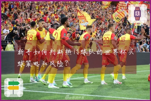 新手如何判断热门球队的世界杯买球策略和风险？