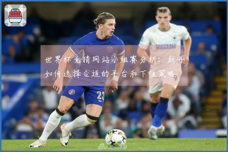 世界杯竞猜网站小组赛分析：新手如何选择合适的平台和下注策略