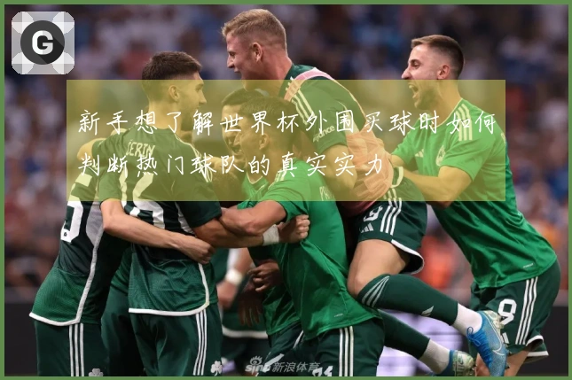 新手想了解世界杯外围买球时如何判断热门球队的真实实力