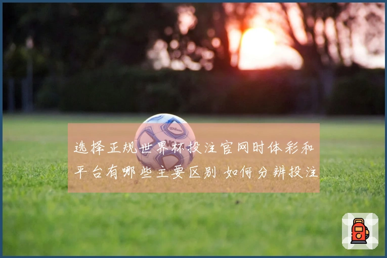 选择正规世界杯投注官网时体彩和平台有哪些主要区别 如何分辨投注平台的可靠性