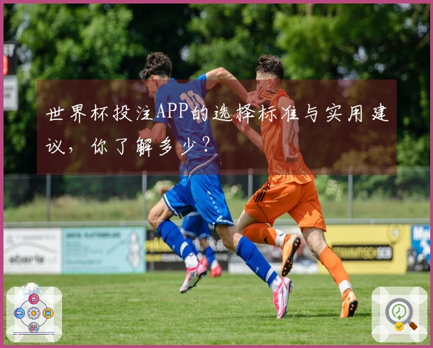 世界杯投注APP的选择标准与实用建议，你了解多少？
