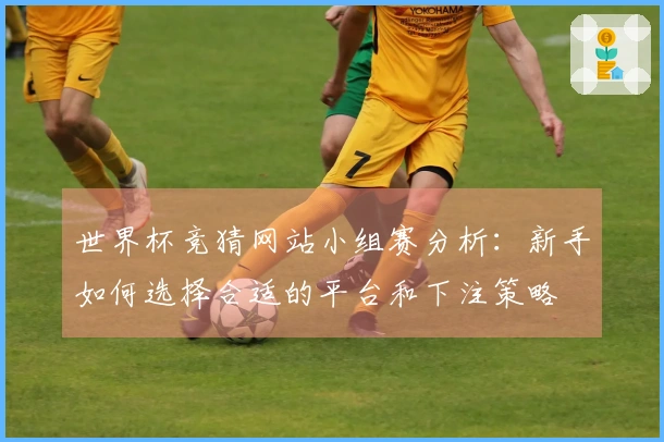 世界杯竞猜网站小组赛分析：新手如何选择合适的平台和下注策略