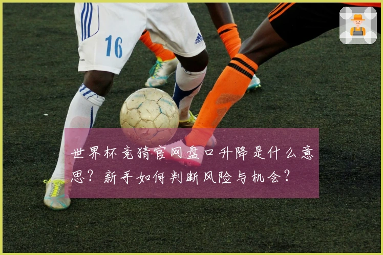 世界杯竞猜官网盘口升降是什么意思？新手如何判断风险与机会？
