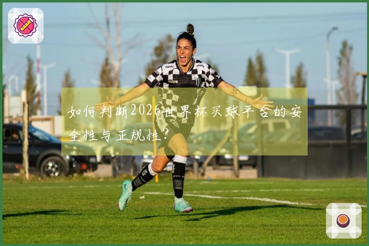 如何判断2026世界杯买球平台的安全性与正规性？