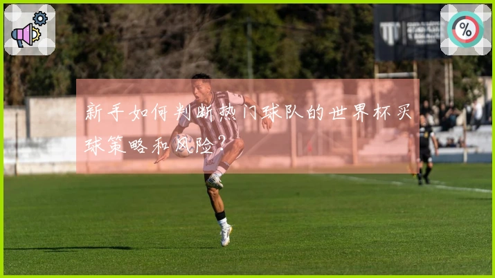 新手如何判断热门球队的世界杯买球策略和风险？