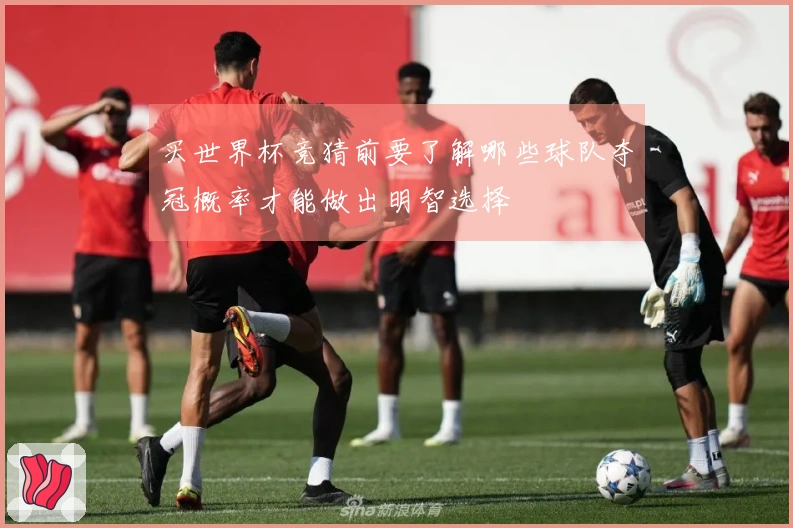 买世界杯竞猜前要了解哪些球队夺冠概率才能做出明智选择