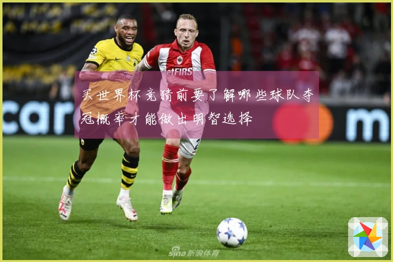 买世界杯竞猜前要了解哪些球队夺冠概率才能做出明智选择