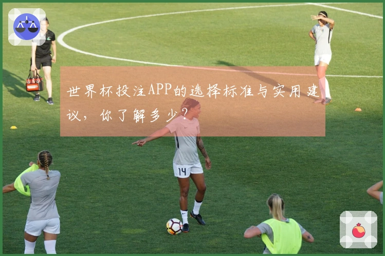 世界杯投注APP的选择标准与实用建议，你了解多少？