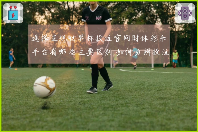 选择正规世界杯投注官网时体彩和平台有哪些主要区别 如何分辨投注平台的可靠性