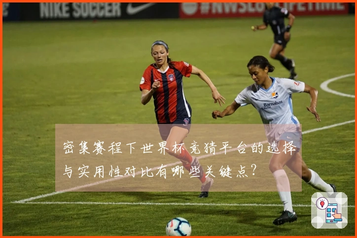 密集赛程下世界杯竞猜平台的选择与实用性对比有哪些关键点？