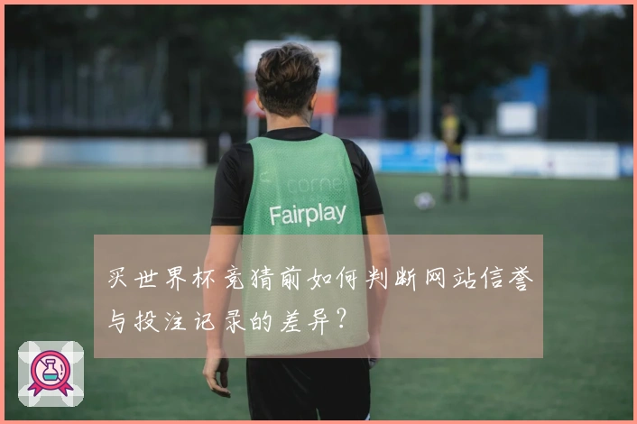 买世界杯竞猜前如何判断网站信誉与投注记录的差异?