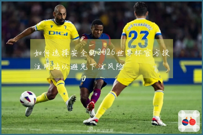 如何选择安全的2026世界杯官方投注网站以避免下注风险