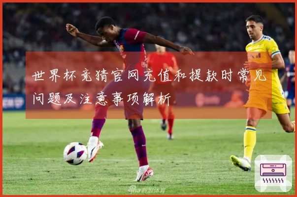 世界杯竞猜官网充值和提款时常见问题及注意事项解析