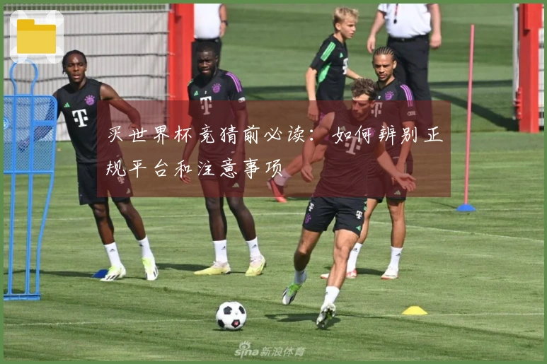 买世界杯竞猜前必读：如何辨别正规平台和注意事项
