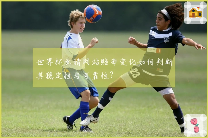 世界杯竞猜网站赔率变化如何判断其稳定性与可靠性？