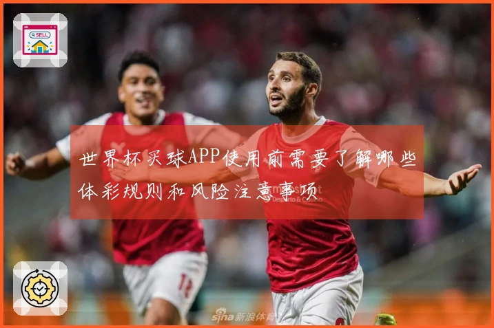 世界杯买球APP使用前需要了解哪些体彩规则和风险注意事项