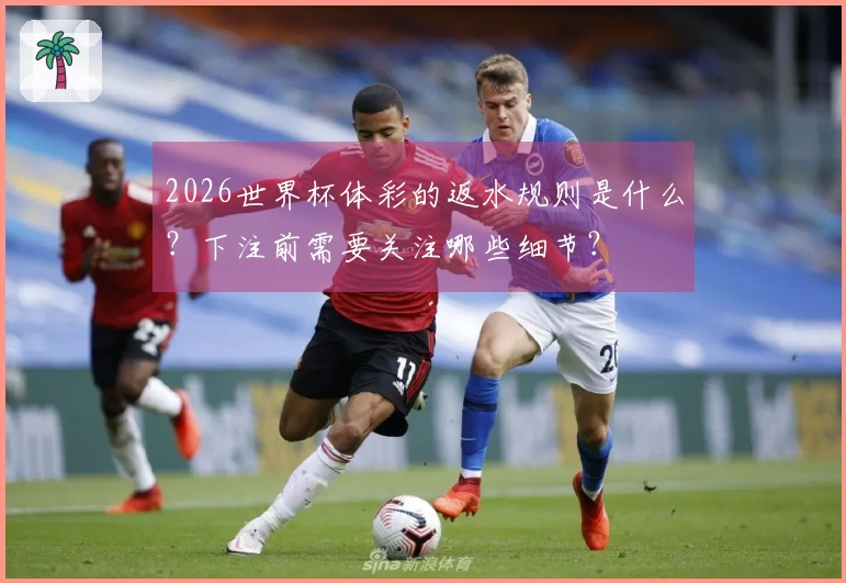 2026世界杯体彩的返水规则是什么？下注前需要关注哪些细节？