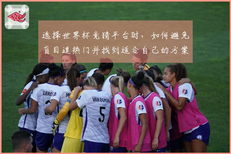 选择世界杯竞猜平台时，如何避免盲目追热门并找到适合自己的方案？