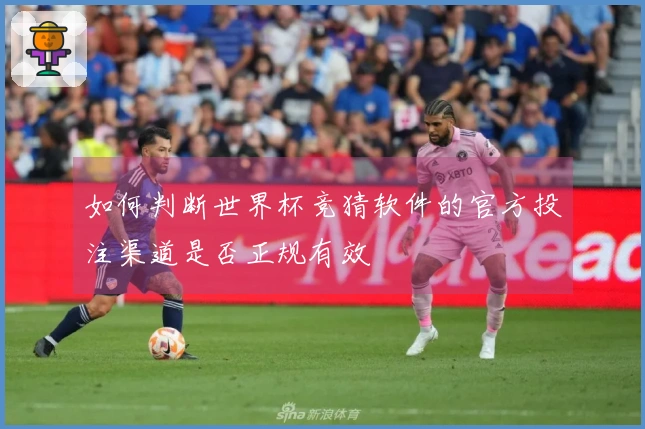 如何判断世界杯竞猜软件的官方投注渠道是否正规有效