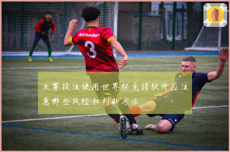 决赛投注使用世界杯竞猜软件应注意哪些风险和判断方法